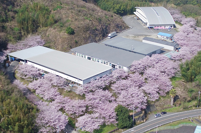 Ayagawa Factory