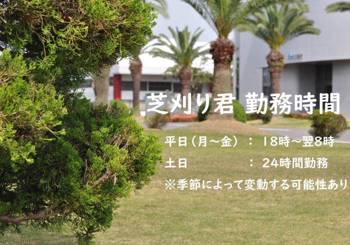 芝刈り君 勤務時間