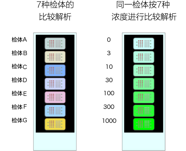 7种检体的比较解析　同一检体按7种浓度进行比较解析