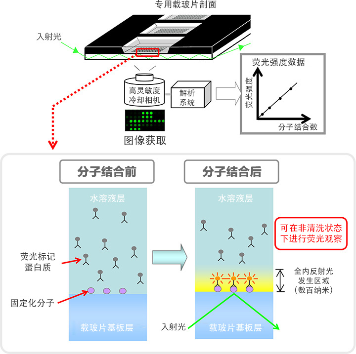 测定原理