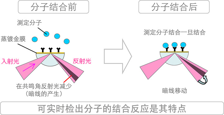 测定原理