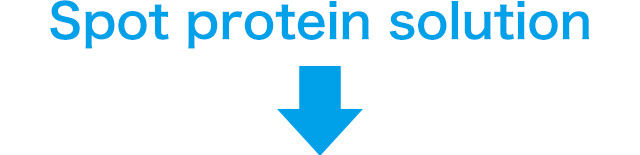 Spot protein solution