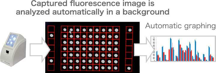 Automatic intensity analysis after a high-speed scan. 