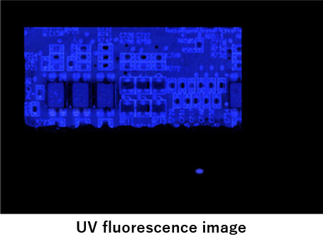 UV fluorescence image