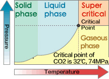 What is Supercritical Rinser & Dryer?