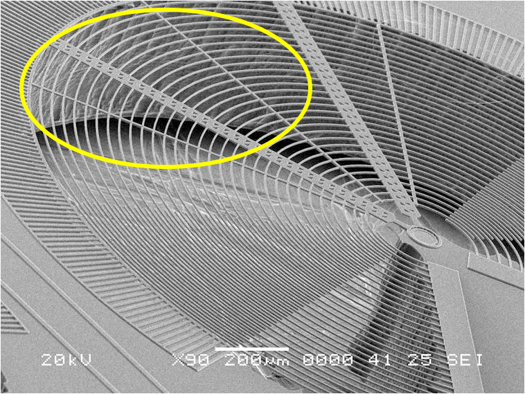 There is no interaction force after supercritical sensing and drying (keeping original shape without damages)