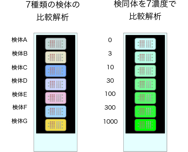 7種類の検体の比較解析　検同体を7濃度で比較解析