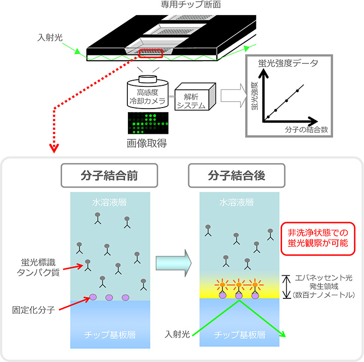 測定原理の図