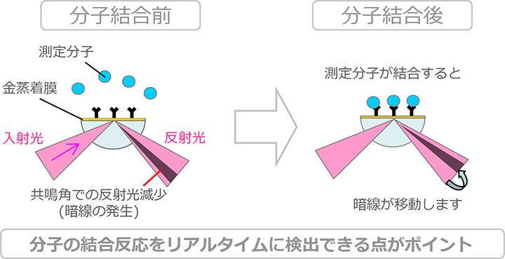 測定原理の図