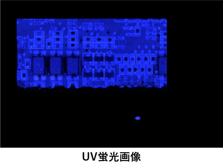 UV蛍光画像